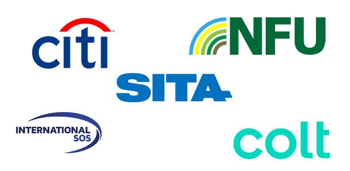 Telecommunications, Program Management, Vendor Management